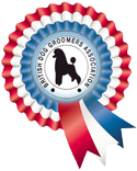 BDGA Logo